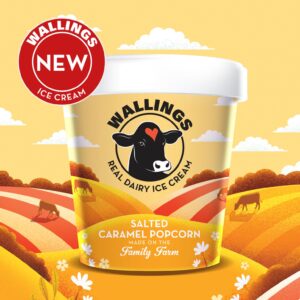 salted-caramel-popcorn-newest-sticker-1536x1536 79/Mini Salted Caramel x24 x125ml Wallings