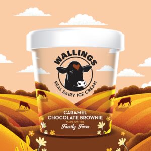 wallings-500ml-visuals-bg-salted-cara-brownie-1536x1536 79/Caramel Chocolate Brownie x6 x500ml Wallings