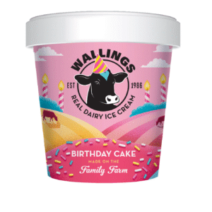 birthday Mini Birthday Ice Cream x 24 x125ml