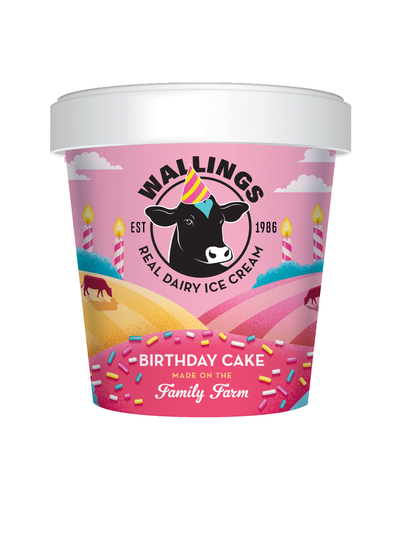 birthday Mini Birthday Ice Cream x 24 x125ml